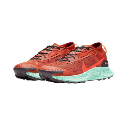 Nike Pegasus Trail 3 Gore-Tex 'Rugged Orange' Men's Trail Running Shoes